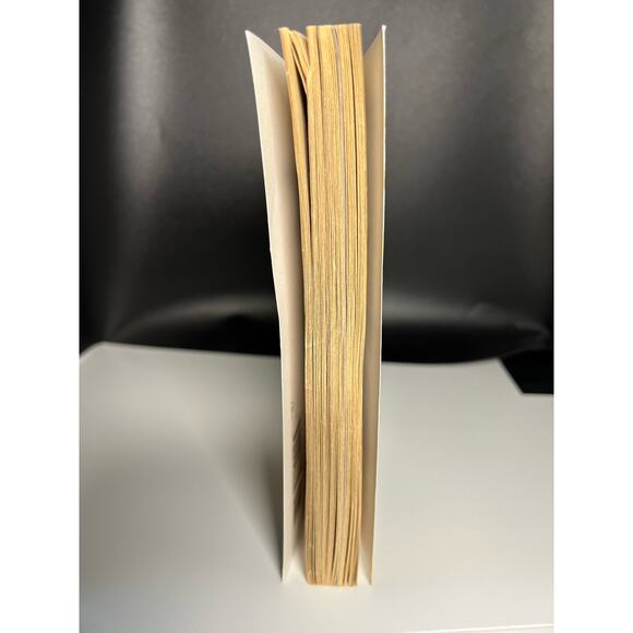 Indiana Jones and The Raiders of the Lost Ark Book - Picture 4 of 4